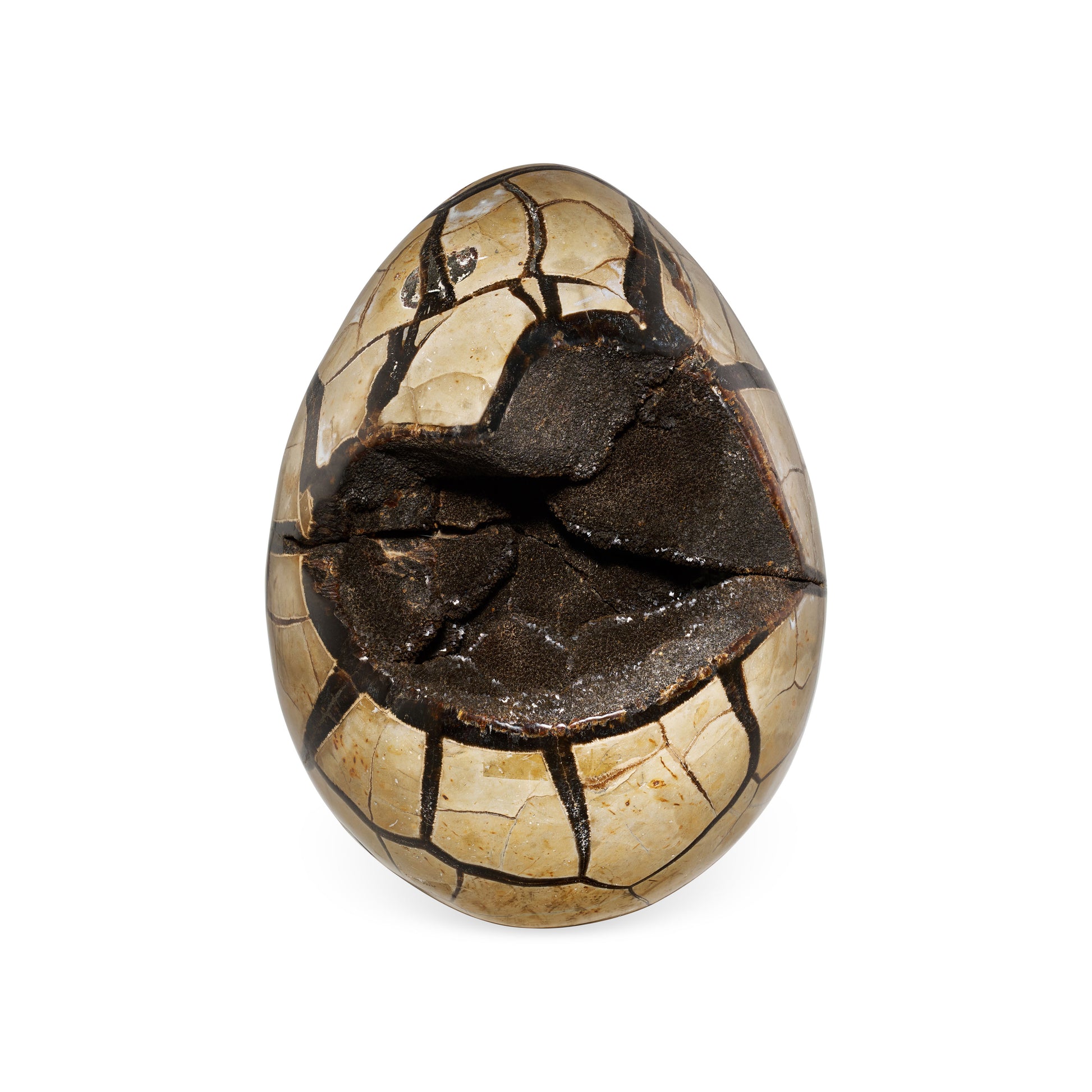 Septarian Egg