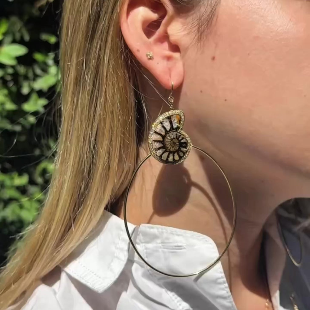 PAVE + AMMONITE FOSSIL HOOPS