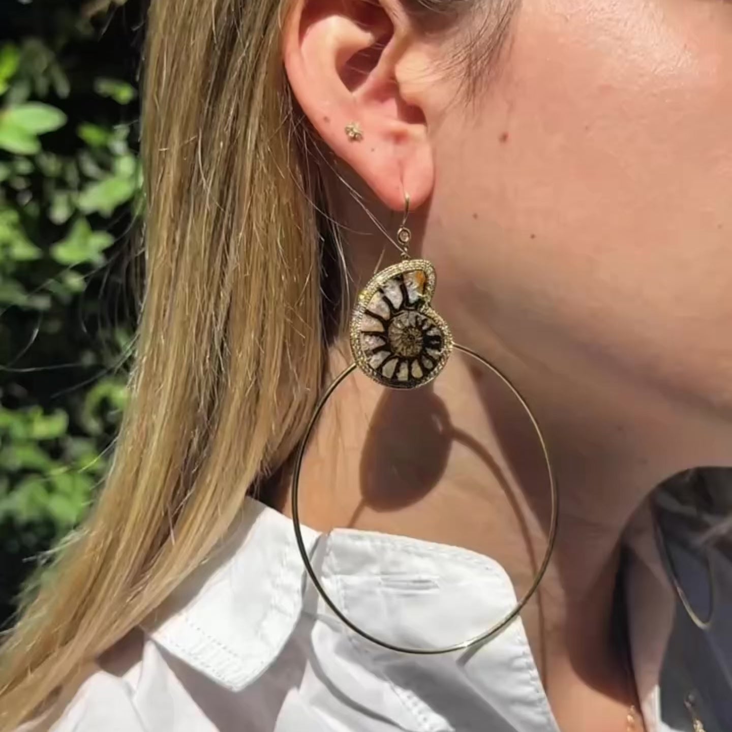 Pave + Ammonite Fossil Hoops