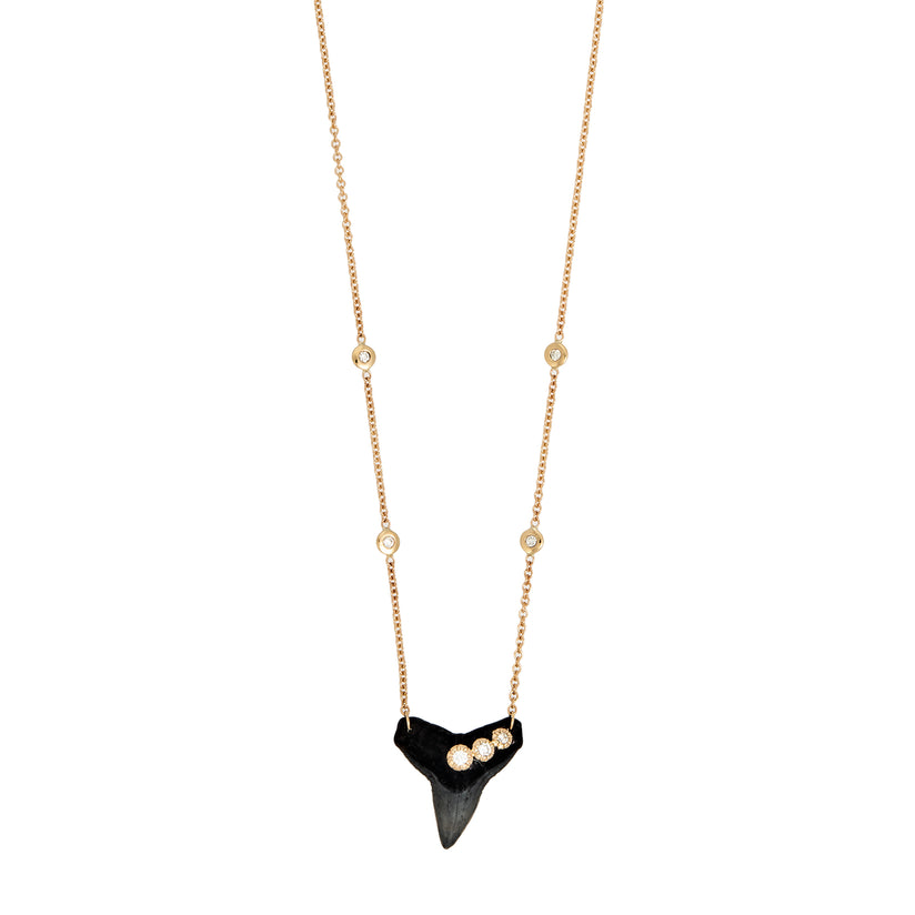 Shark Tooth Necklace | James Michelle Jewelry