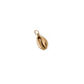 Cowri Shell Charm